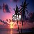 Roam