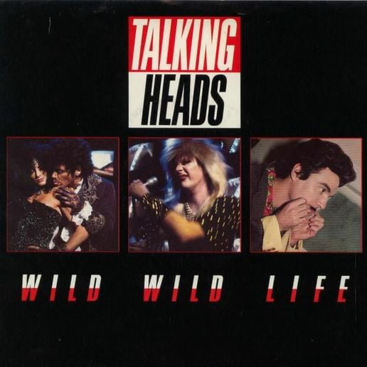 Wild Wild Life cover