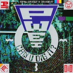 Pop Will Eat Itself - Can You Dig It
