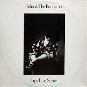 Echo and the Bunnymen - Sugar Kisses
